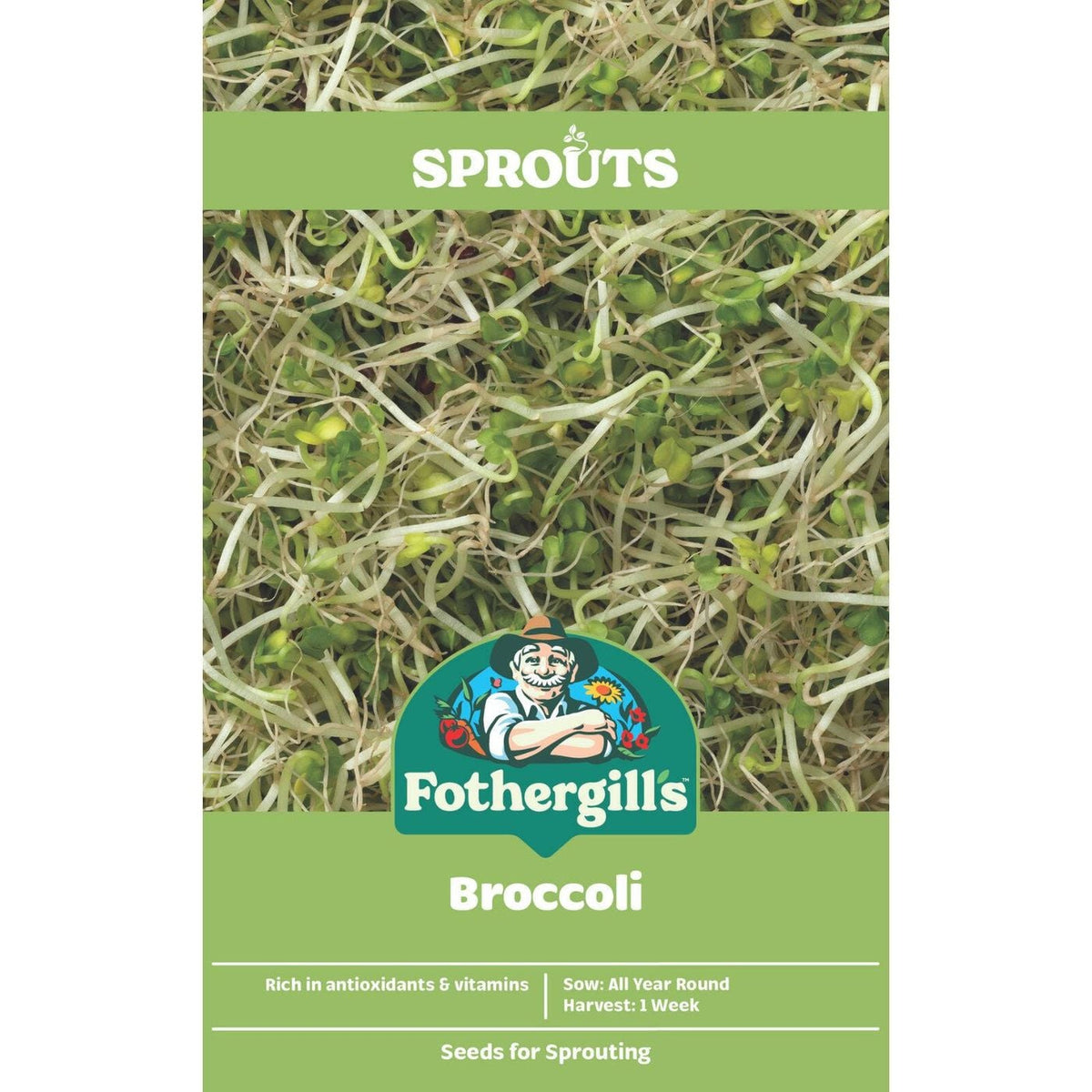 2x Fothergill's Broccoli Sprouts Vegetable Seeds